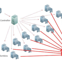 Cách chọn Hosting chống DDOS