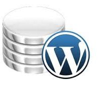 Tại sao nên chọn VPS cho WordPress